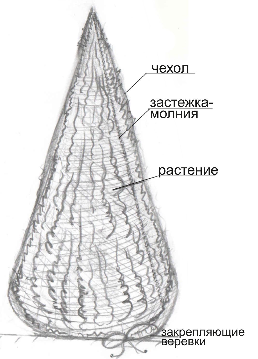 этикетка-2
